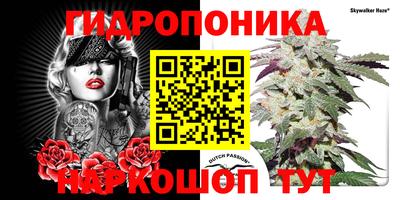 крисы Ливны