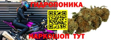 крисы Ливны