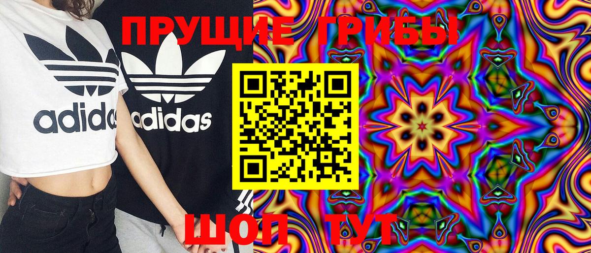 Псилоцибиновые грибы Magic Shrooms  Вход с VPN  Ефремов 